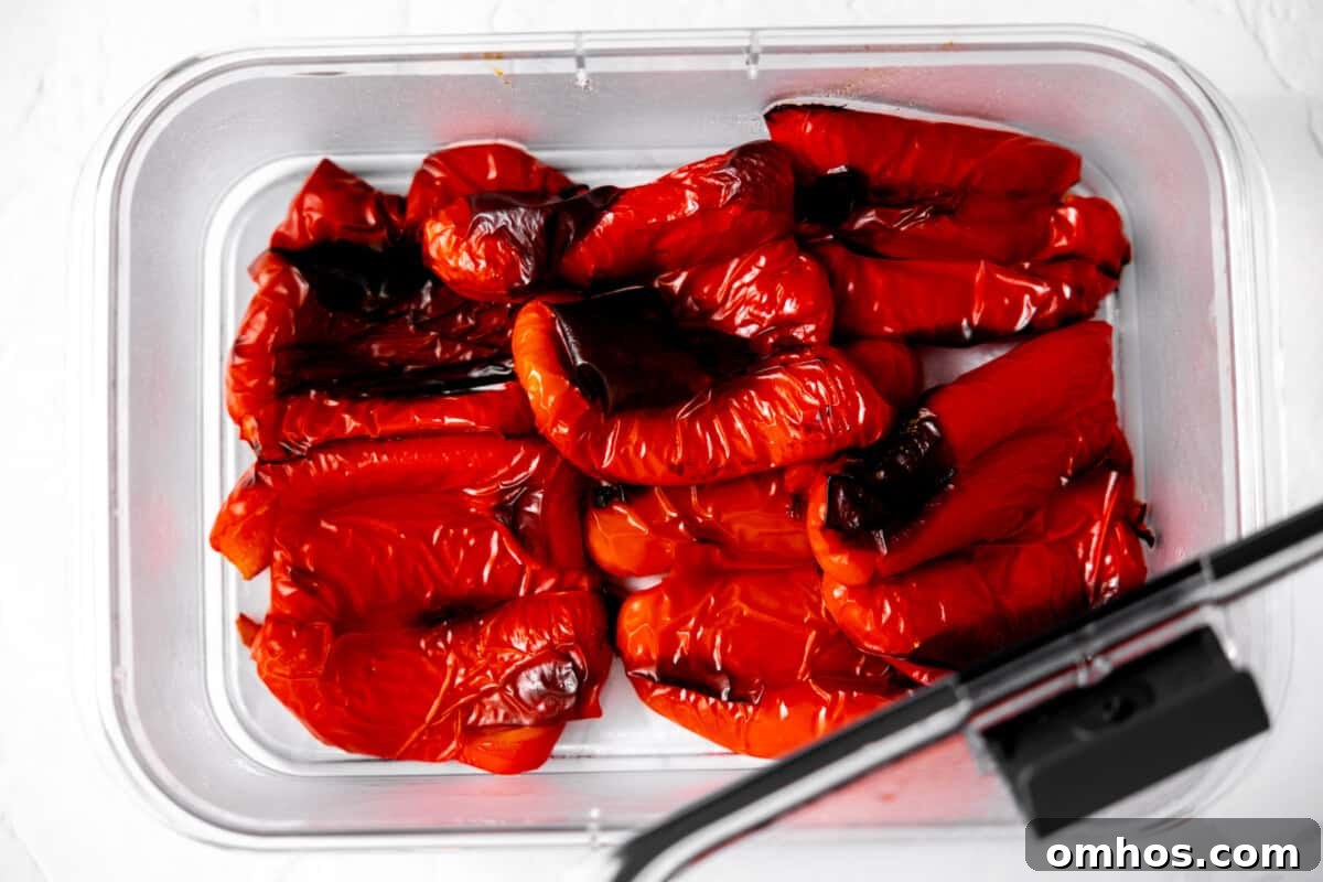 Roasted red bell peppers in a container before peeling skin off.