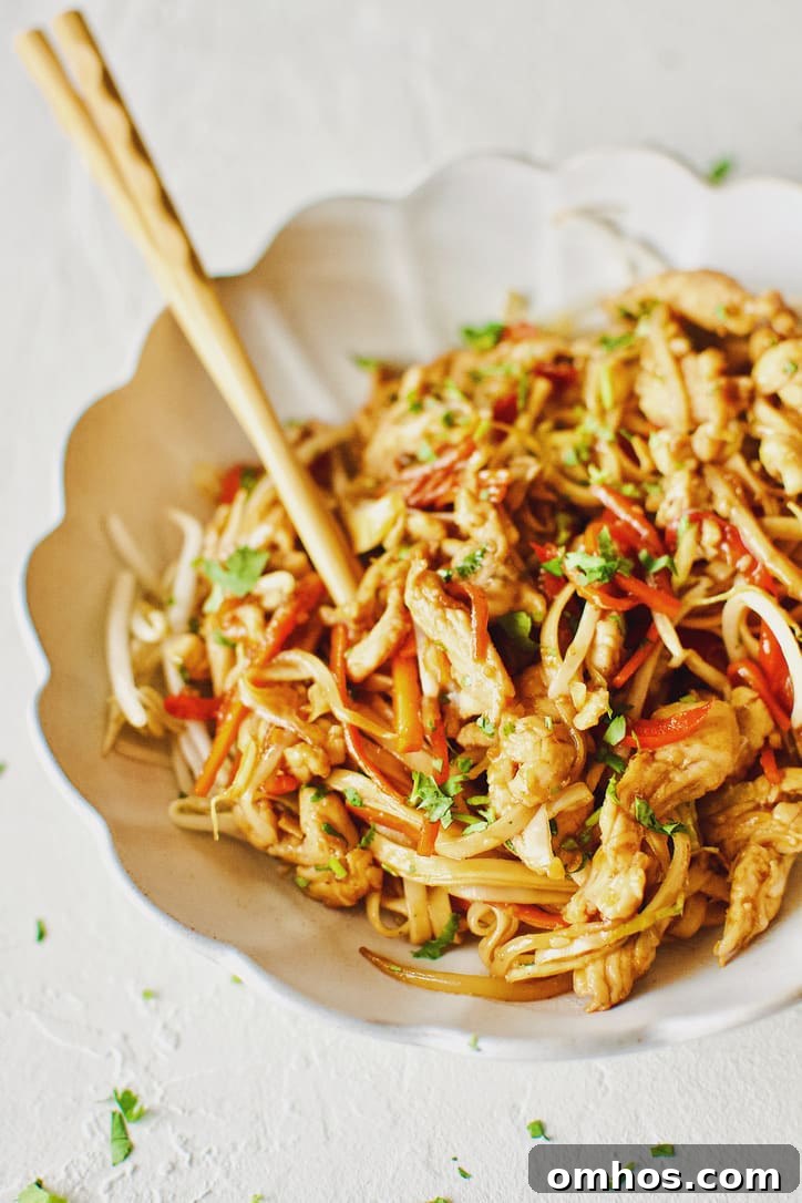 Easy Homemade Lo Mein Chicken Take-out at Home.
