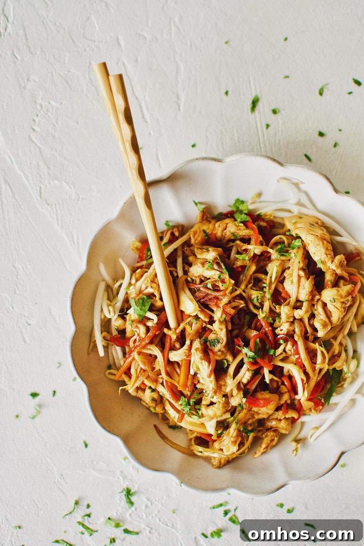 Easy Homemade Lo Mein Chicken Take-out at Home.