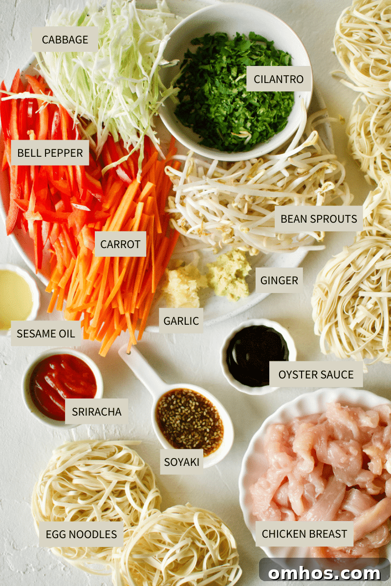 Ingredients needed to make Lo Mein Chicken.