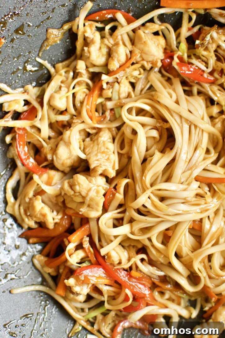 Noodles added to the chicken, veggies, and sauce to complete the dish of Chicken Lo Mein.