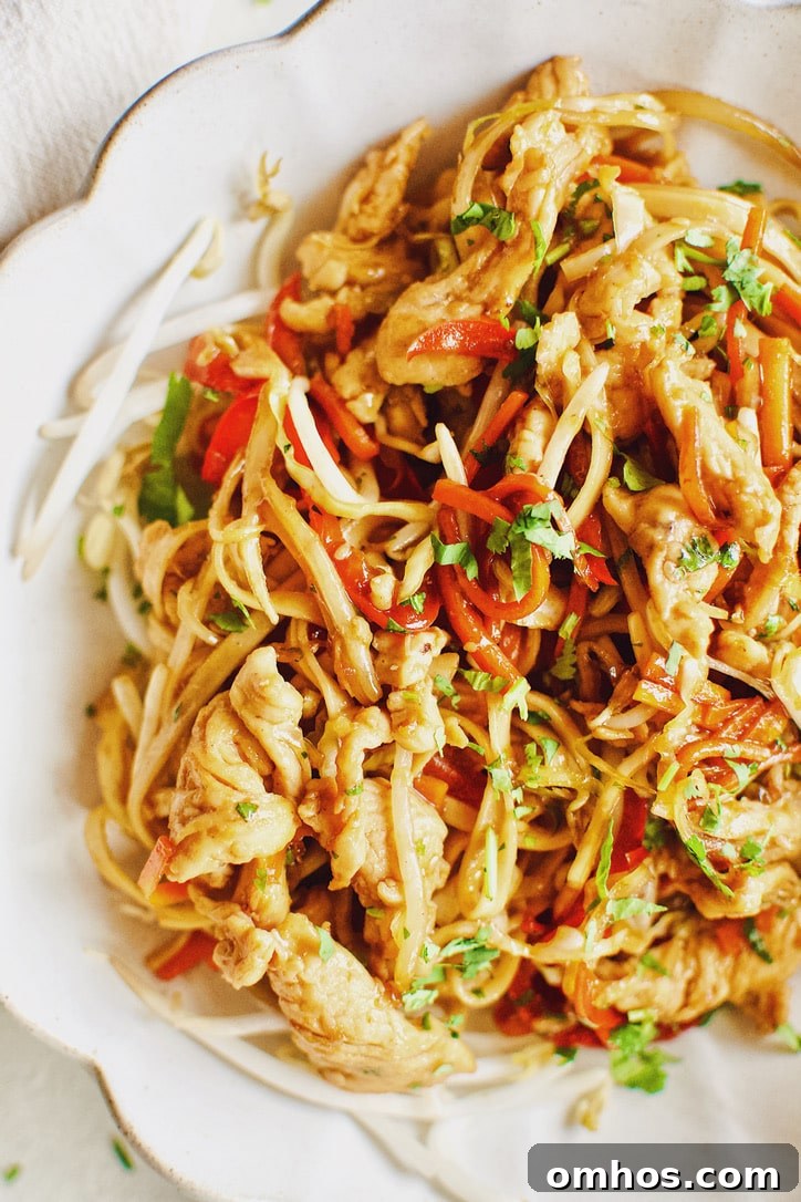 Easy Homemade Lo Mein Chicken Take-out at Home.