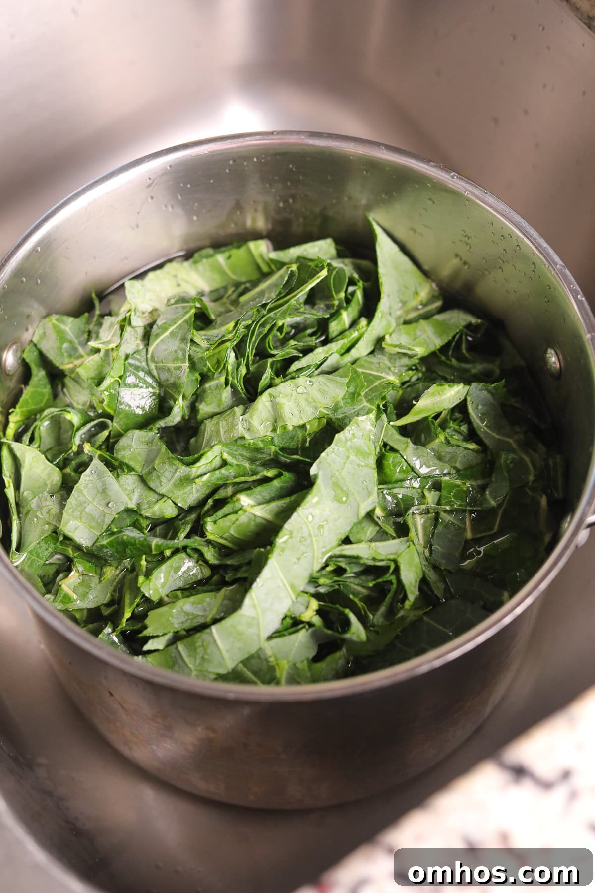 Vegan Southern Collard Greens Recipe 4 Collard greens in a large stockpot to be washed.