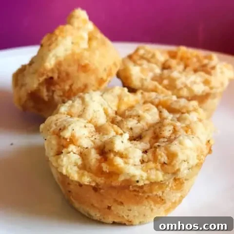 Carbquik Cheddar Bay Muffins