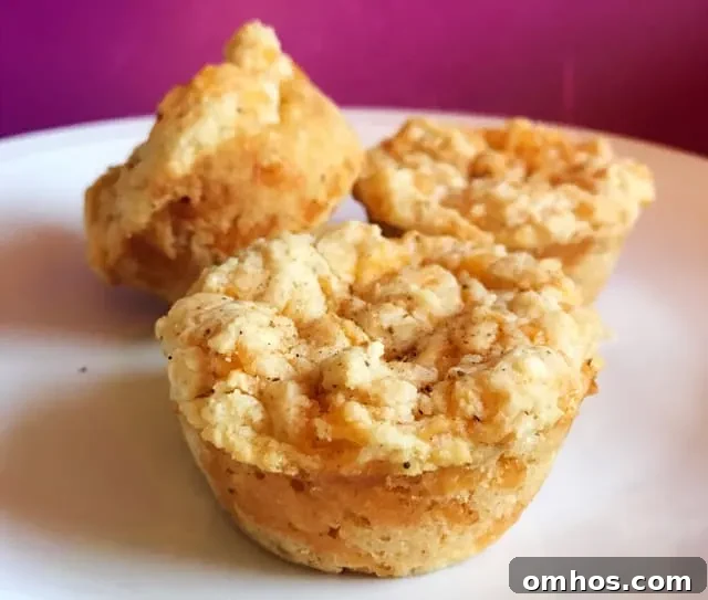 carbquik cheddar bay muffins