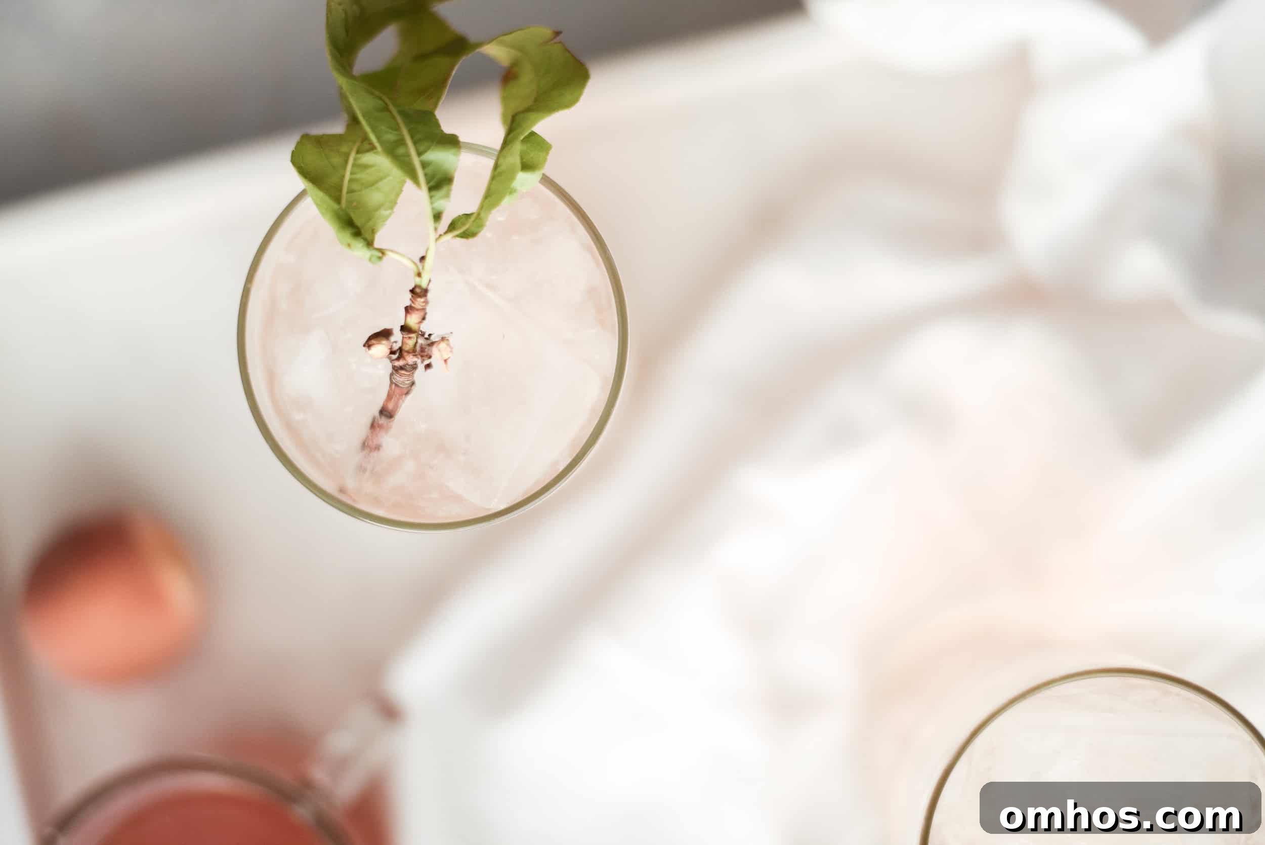 A bubbly summer cocktail with peach puree & peach Schnapps!