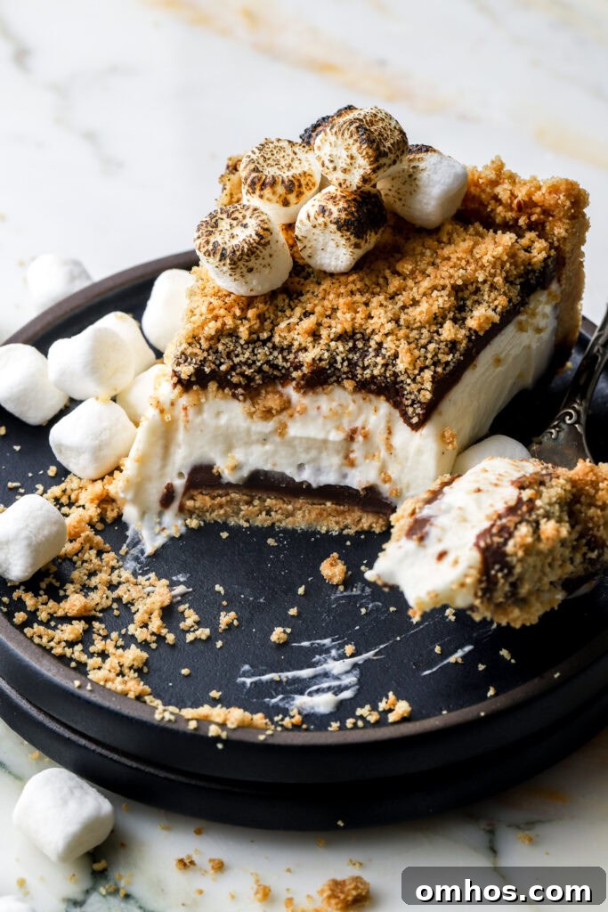 slice of no-bake s'mores cheesecake