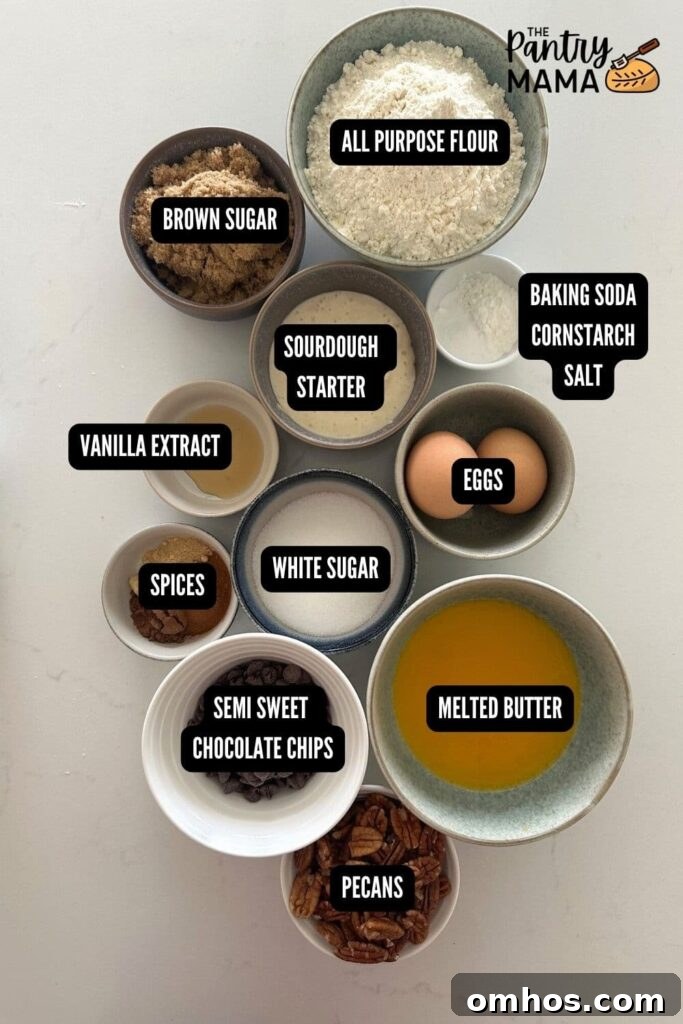 Flat lay of ingredients used to make spiced pecan sourdough cookies.