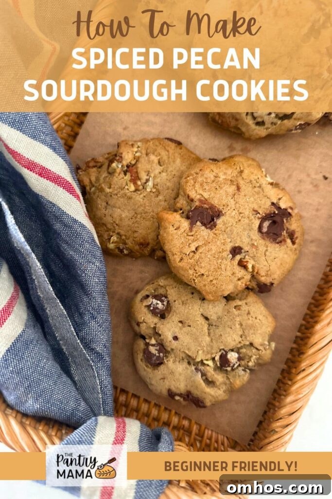 SPICED PECAN SOURDOUGH COOKIES - PINTEREST IMAGE