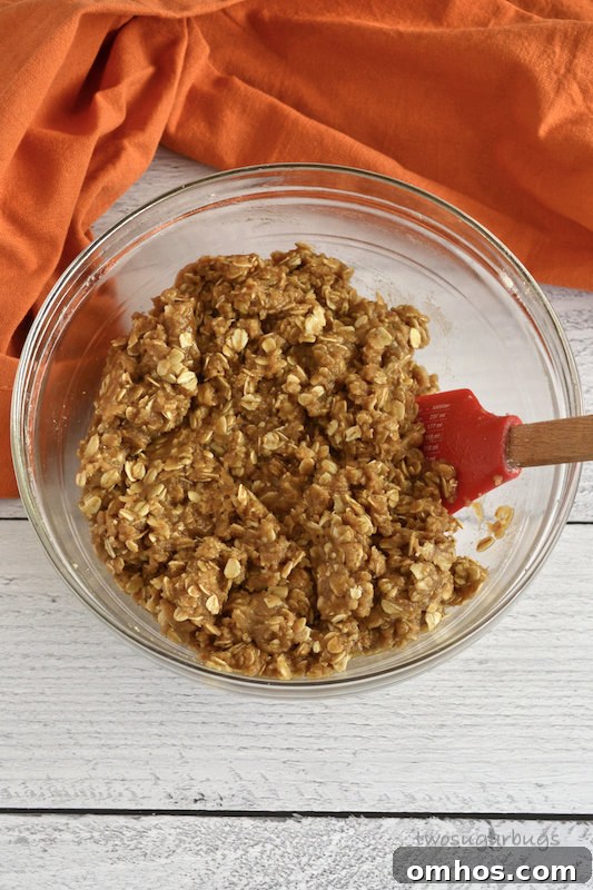 Oatmeal spice layer mixed in a bowl.