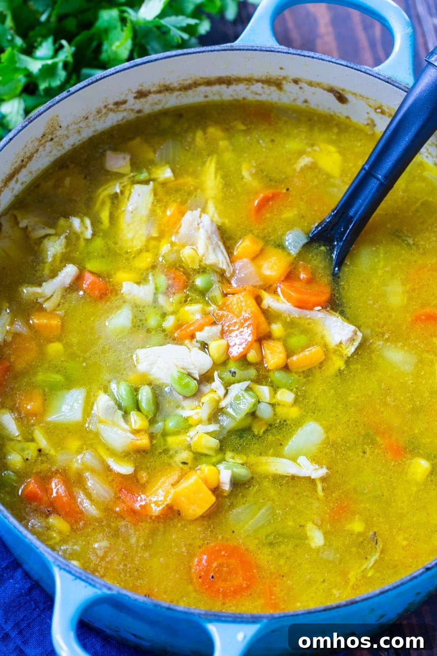 Dutch oven full of chicken soup with curry.