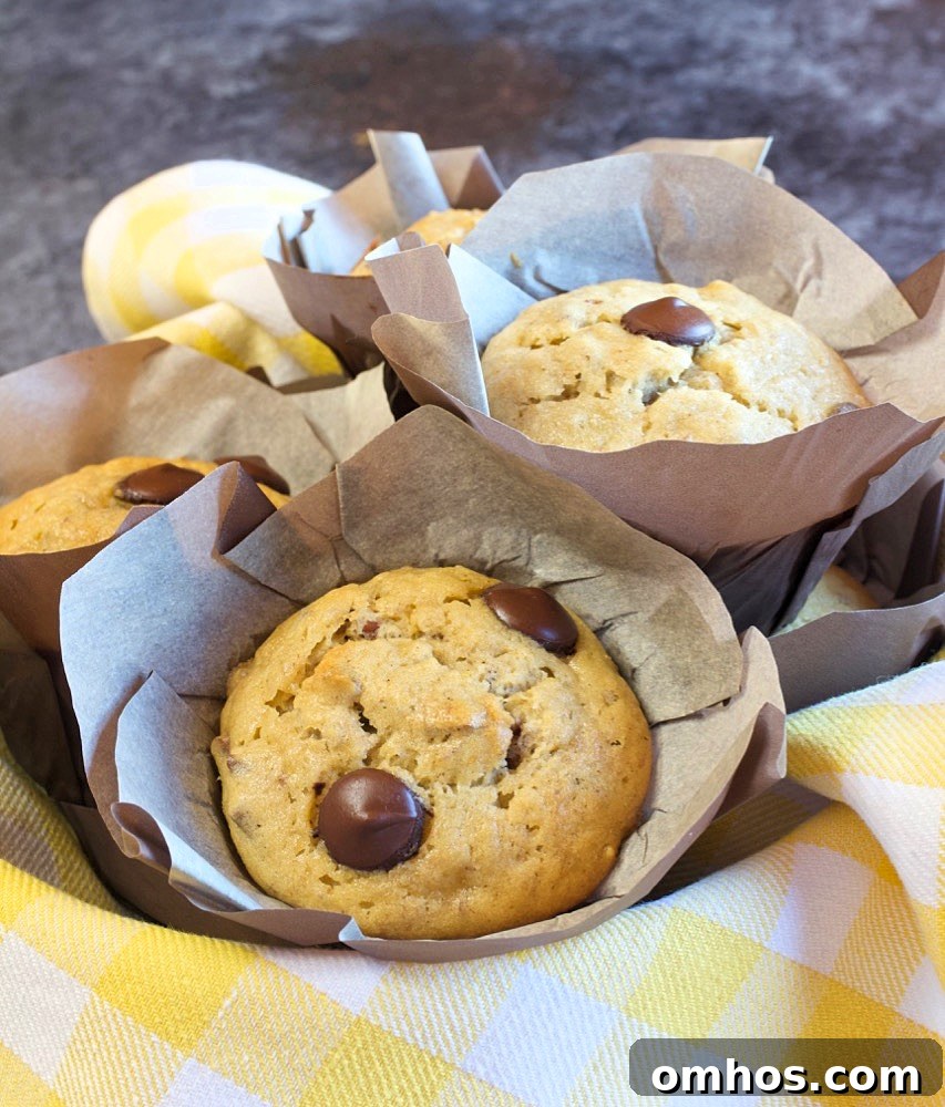 Banana Chocolate Chip Muffins.