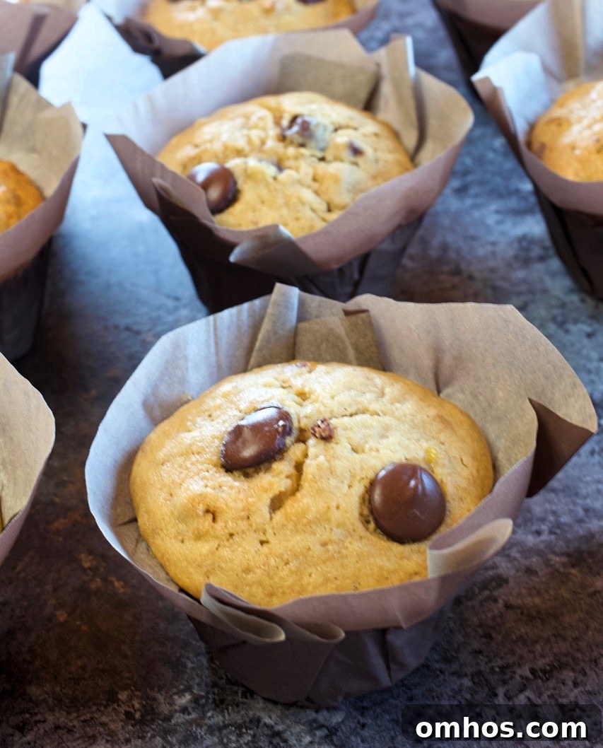 Banana Chocolate Chip Muffins.
