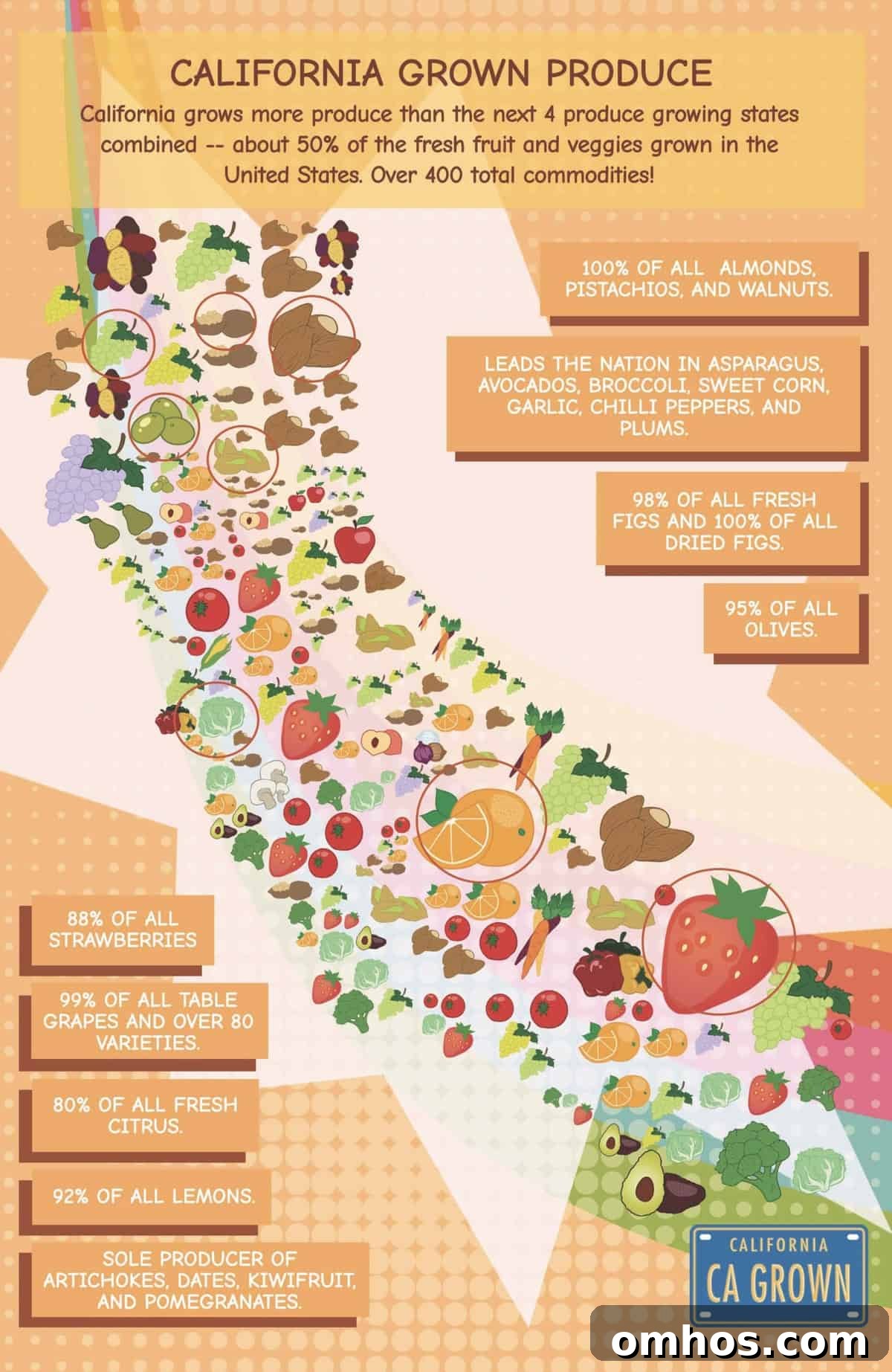 How to Make a Rainbow Vegetable Quesadilla 4 A drawing of a map of California that shows which commodities are grown in the state and where they come from.