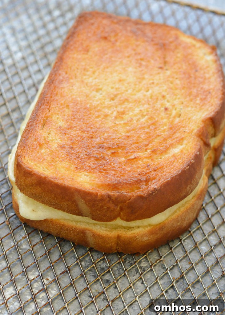 Close up of a golden air fryer grilled cheese sandwich