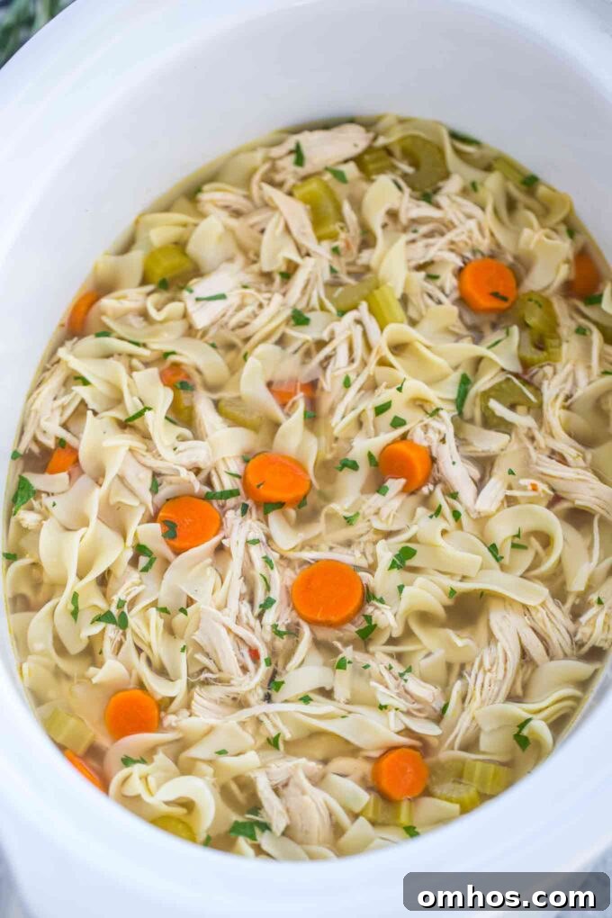Overhead shot of homemade crockpot chicken noodle soup.