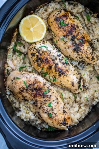 Crockpot Chicken and Rice