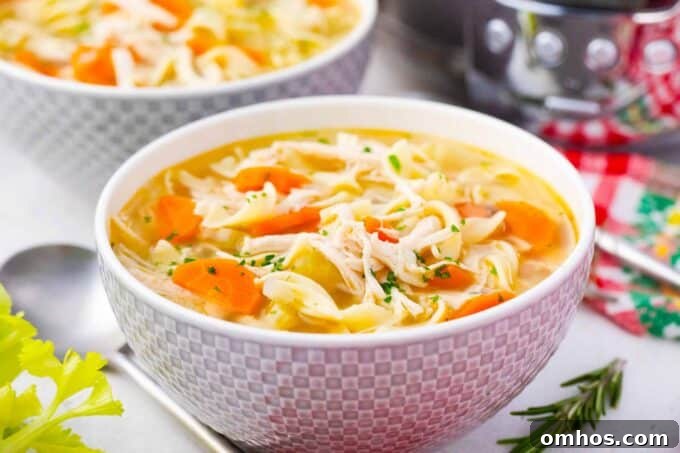 A bowl of slow cooker chicken noodle soup with carrots and celery.