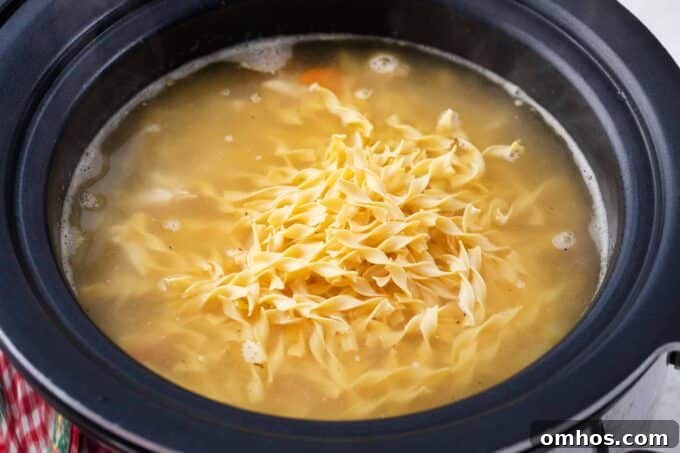 Adding egg noodles to crockpot chicken noodle soup.