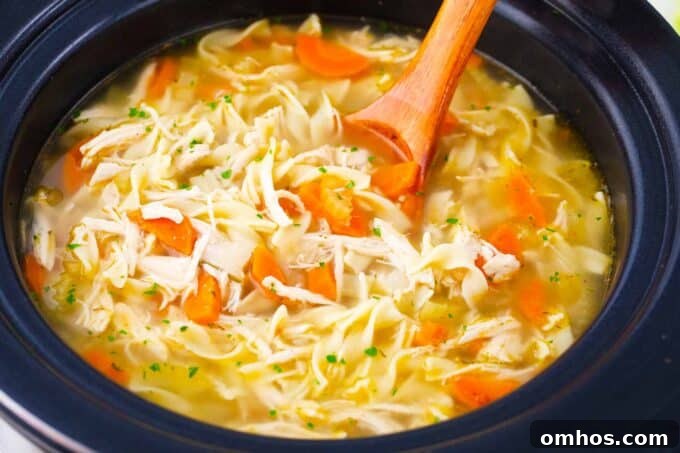 Homemade crockpot chicken noodle soup with a ladle in it.