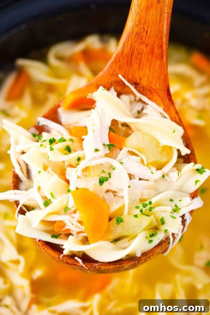 A ladle of crockpot chicken noodle soup.