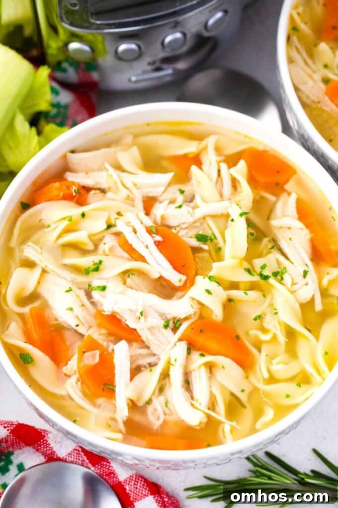 Overhead shot of a bowl of crockpot chicken noodle soup.