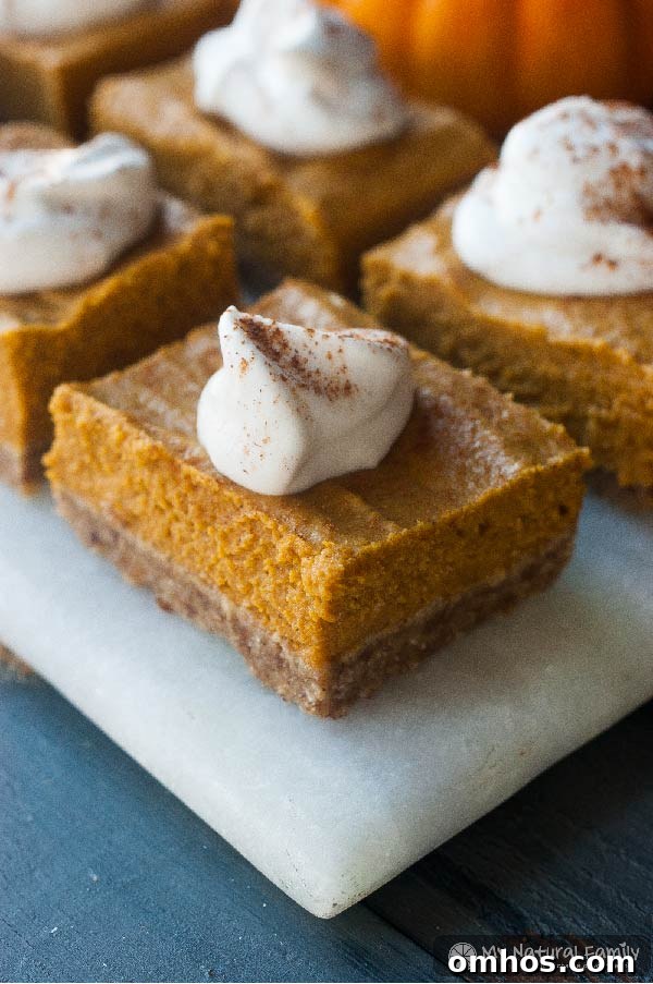 Paleo Sweet Potato Pie: Grain-Free Holiday Recipe 6 Paleo Pumpkin Bars