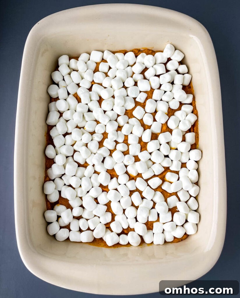 Southern Sweet Potato Casserole with Pecan Streusel 6 mashed sweet potatoes in a baking dish topped with marshmallows