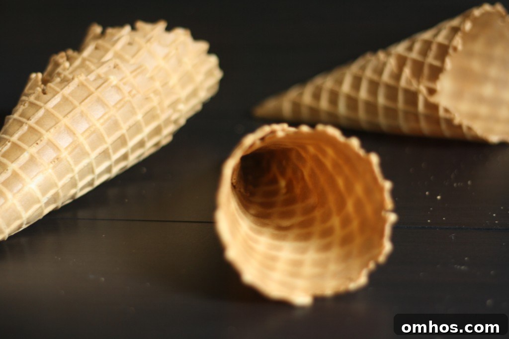 waffle cones img 3385 2