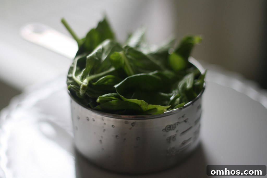 basil basil