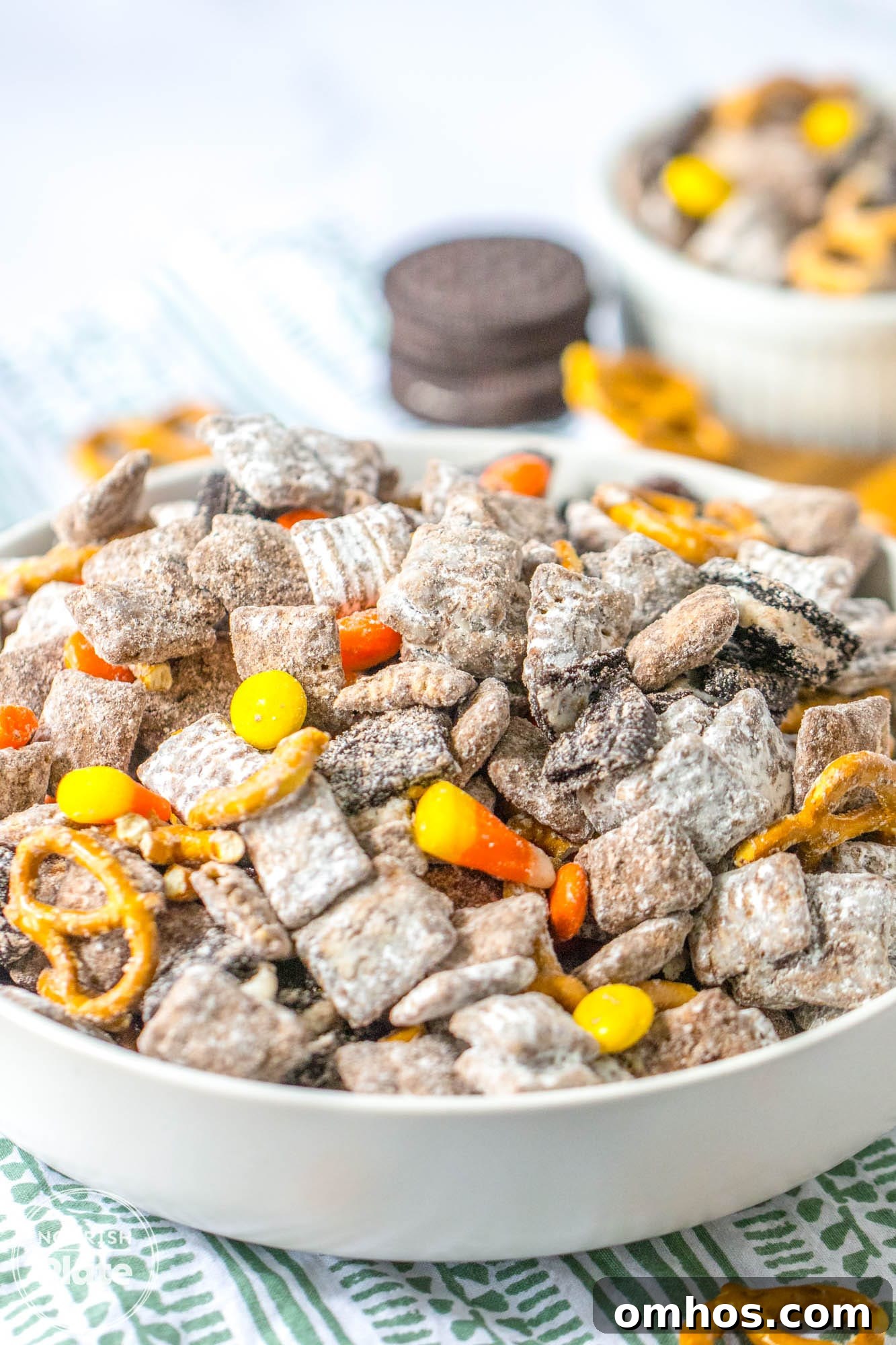 Angle shot of a large white bowl with fall puppy chow mix