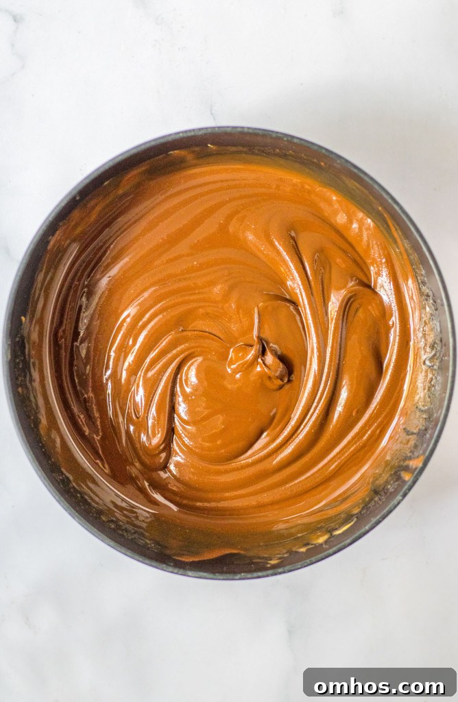 Chocolate peanut butter melted mixture in a bowl