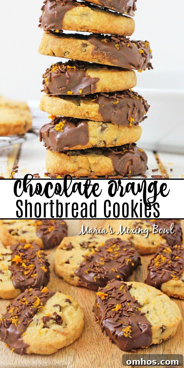 Chocolate Orange Shortbread Cookies