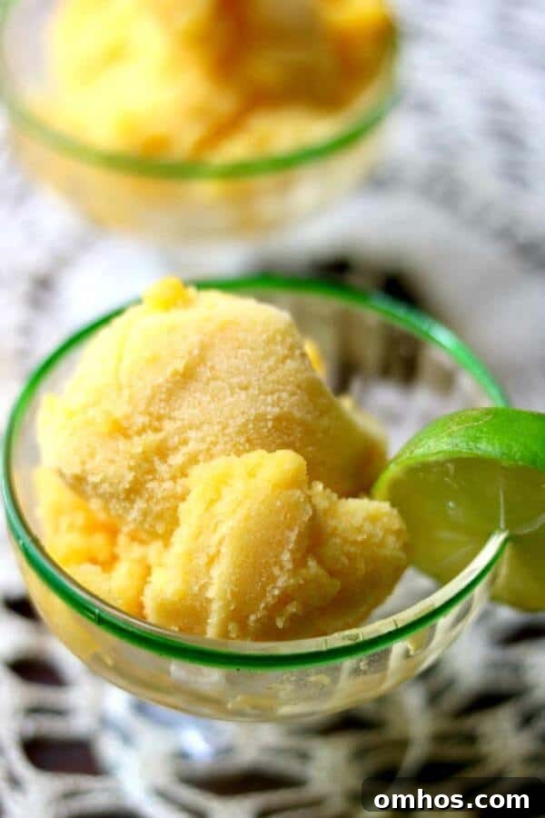 So good! Fresh and juicy peach sorbet tastes like summer!