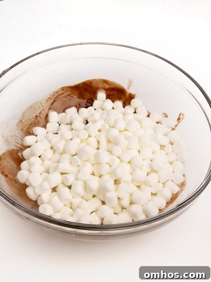 bowl of melted chocolate with marshmallows