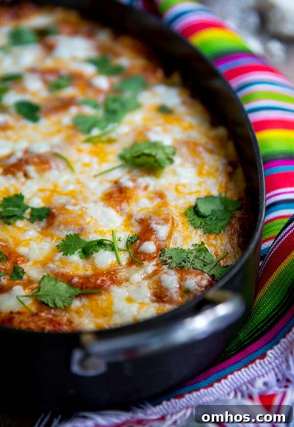 Short Rib Enchiladas in a black casserole dish on top of a colorful Mexican-style tablecloth