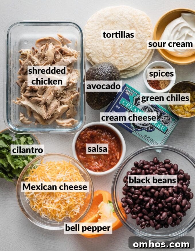 Crispy Baked Chicken and Black Bean Taquitos 2 Labeled overhead photo of shredded chicken, black beans, sour cream, tortillas, avocado, spices, canned green chiles, salsa, cream cheese, fresh cilantro, bell pepper, and shredded Mexican cheese, all on the counter and ready to make into taquitos.