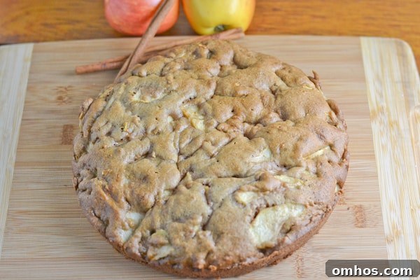 Moist, Fluffy Apple Cake Recipe 2 Moist and Fluffy Apple Cake
