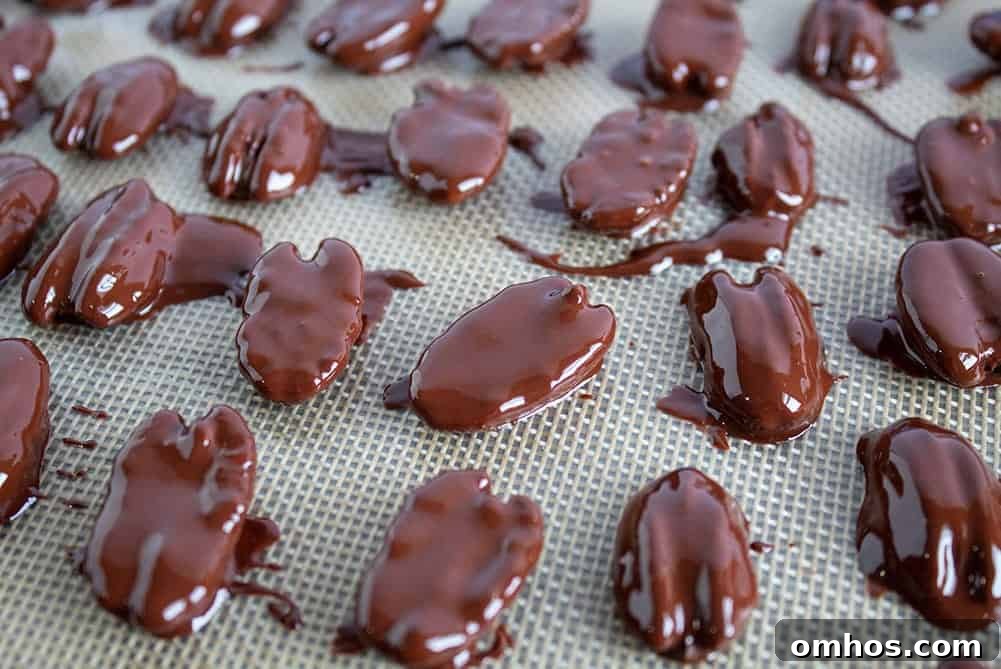 closeup of chocolate covered pecans with several broken in half
