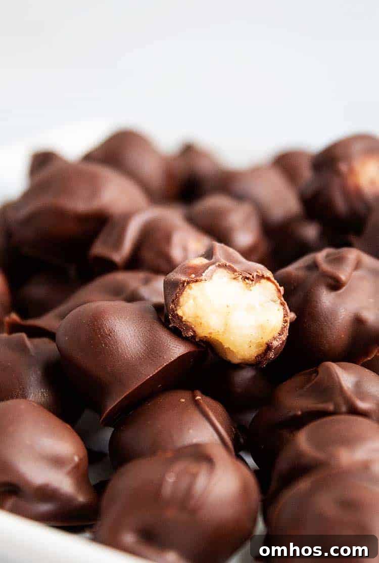 closeup of half-eaten chocolate covered macadamia nut in a bowlful of macadamia nuts