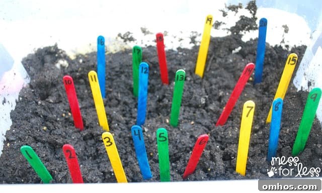 popsicle sticks in dirt