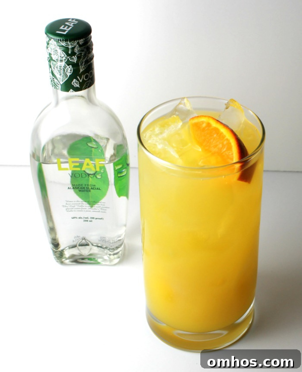 Roundup Image for Refreshing Drinks for Spring and Summer