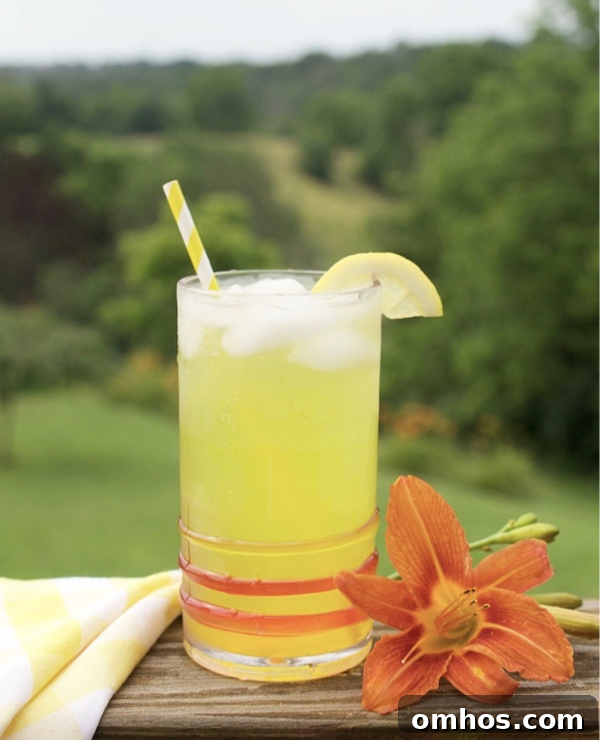 Roundup Image for Refreshing Drinks for Spring and Summer