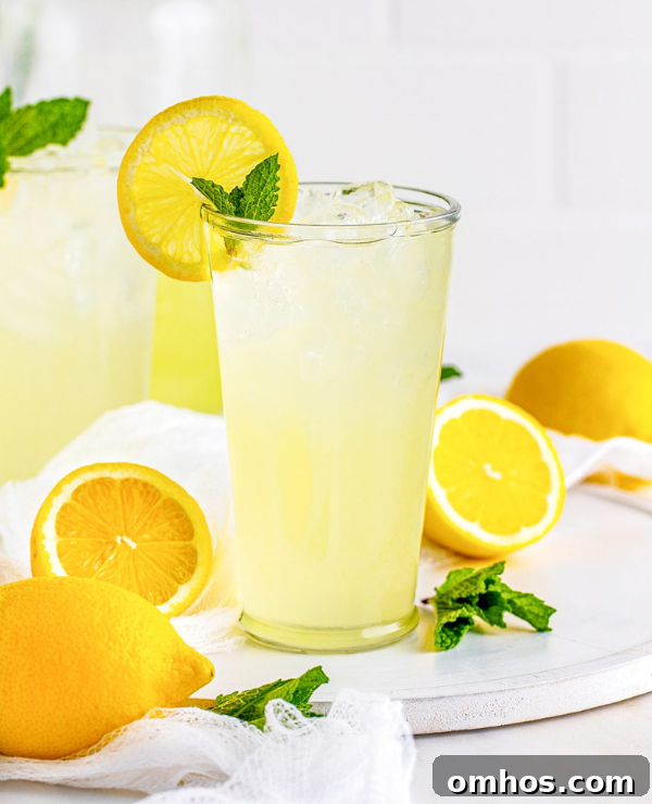 Roundup Image for Refreshing Drinks for Spring and Summer