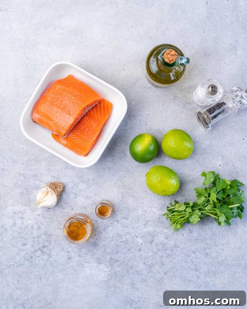 ingredients to make the grilled salmon with cilantro lime honey and salmon fillets