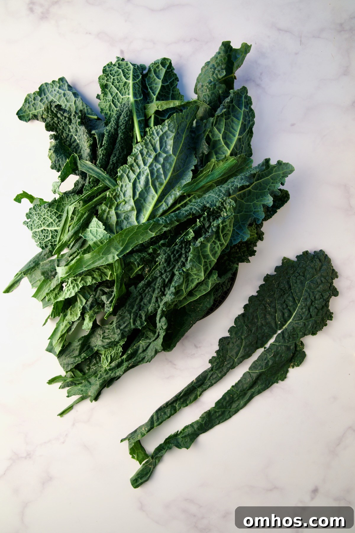 Lacinato kale with stems removed.