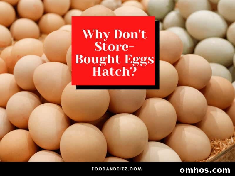 Why don't store bought eggs hatch?