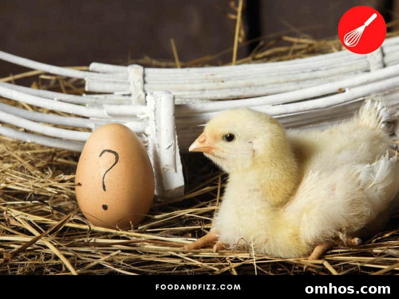 Unlikely to find fertilized eggs in grocery cartons.