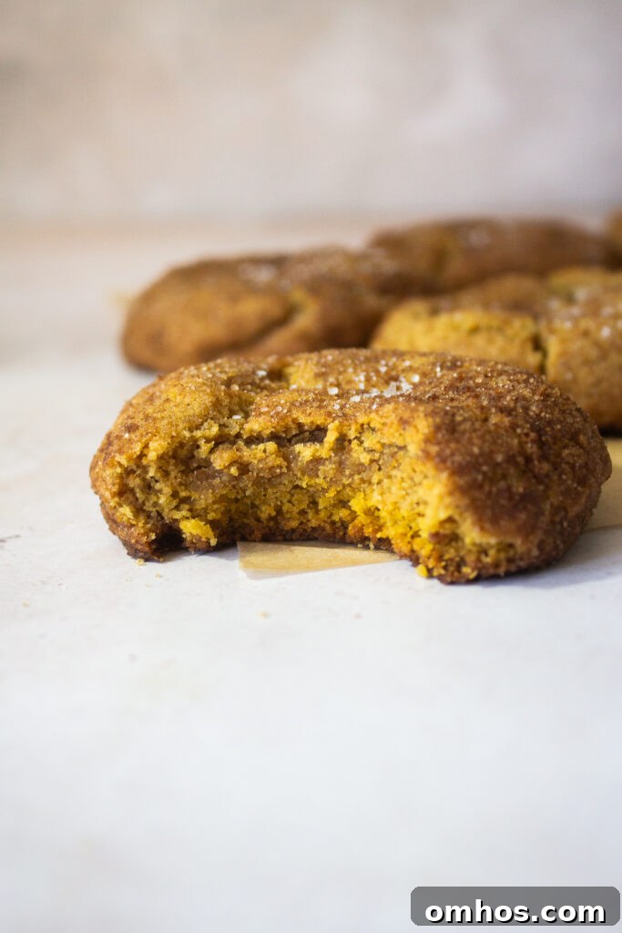 Chewy Pumpkin Cookie Recipe with Brown Butter and Maple 3 Close-up of pumpkin cookies