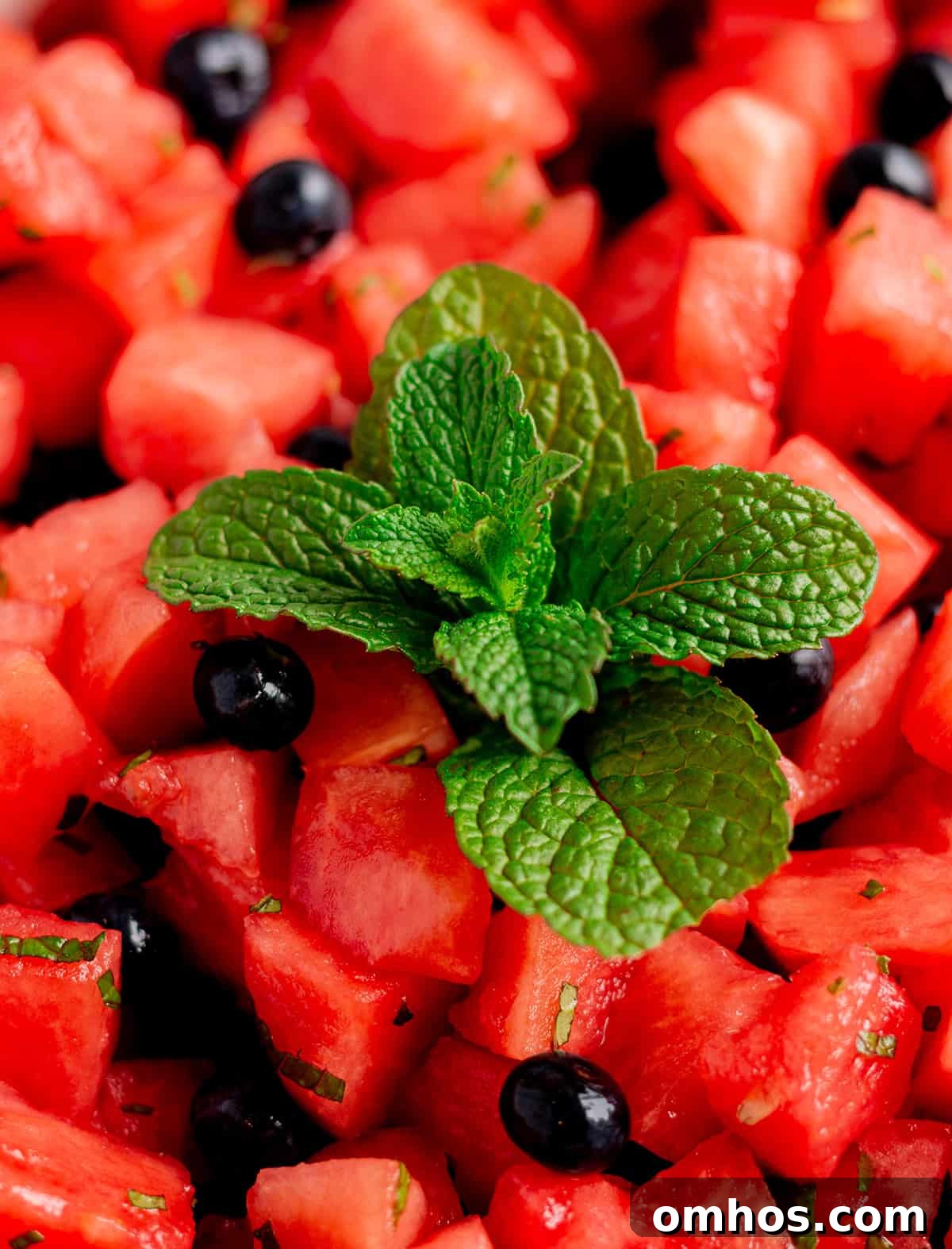 Diced watermelon with fresh blueberries and a spring of mint.